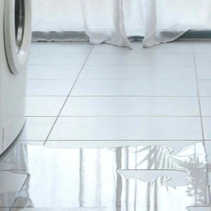 Appliance Leak Cleanup in Hyde Park, IL