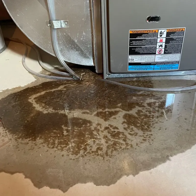 Pipe Burst and Leak Restoration in Hyde Park, IL
