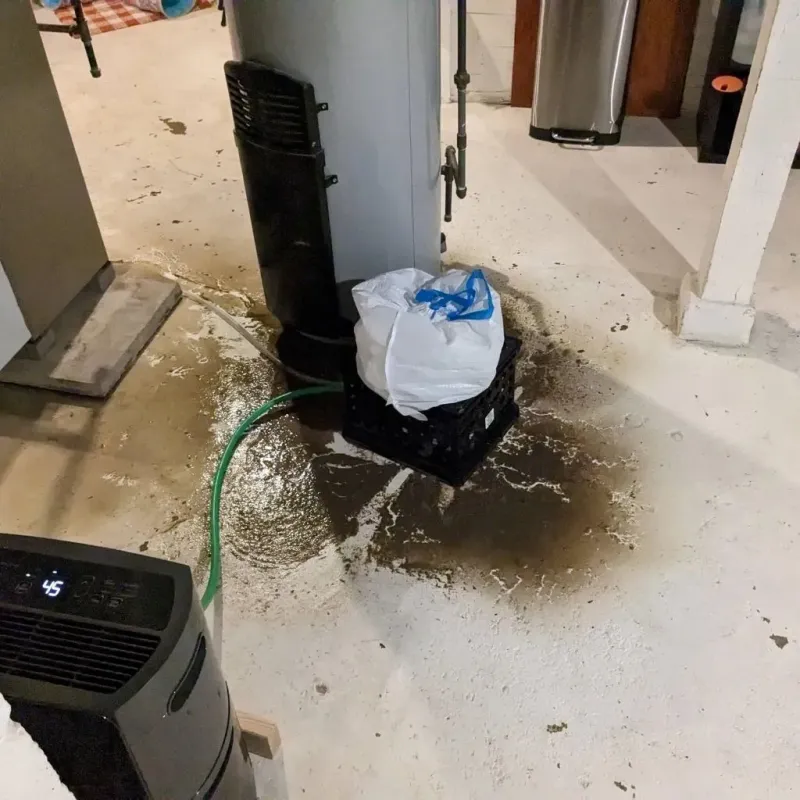 Sewage Backup Cleanup Service in Hyde Park, IL